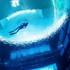 Deep Dive Dubai Surface Snorkeling Experience - Water Sports - Image 3
