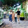 Dubai Aquarium & Underwater Zoo - Ultimate Experience Experiences