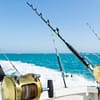 Trolling in Ocean for Big Fish - Top-Rated Attractions - Image 3