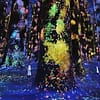 TeamLab Phenomena Abu Dhabi - Museums - Image 3
