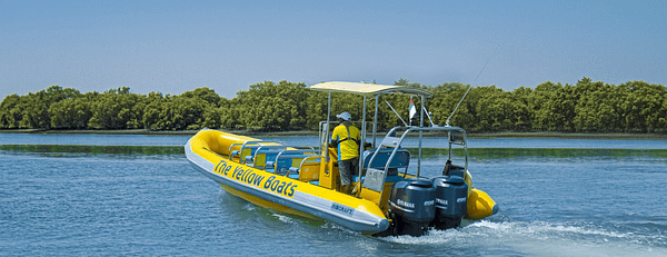 45-minute Yas Experience Abu Dhabi Sightseeing Boat Tour - Boat Tours and Cruises - Image 3