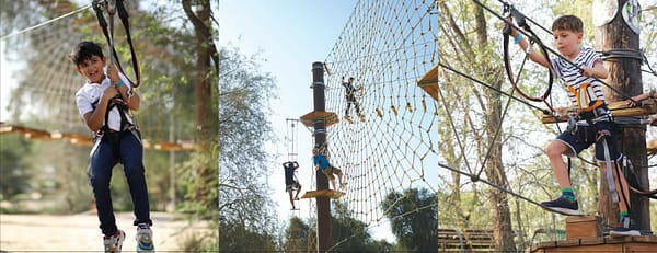 Aventura Park - Experiences - Image 3