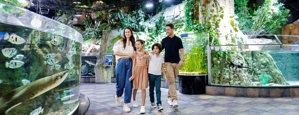 Dubai Aquarium & Underwater Zoo - Ultimate Experience - Experiences - Image 3