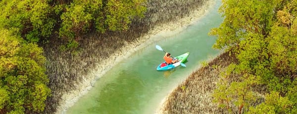 Guided Kayak Tour in the Reem Central Park Mangroves - Water Sports - Image 3