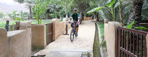 Hatta Biking Adventure - Outdoor Attractions - Image 3