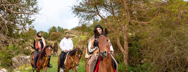 Horse Riding Experience - Recently Added Experiences - Image 3