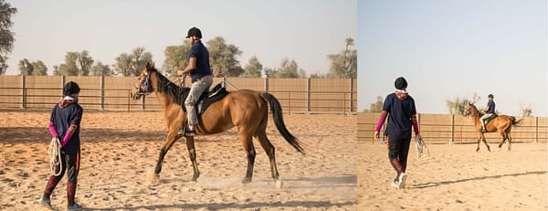 Horse Riding Training Course One Session - Sports Events - Image 3