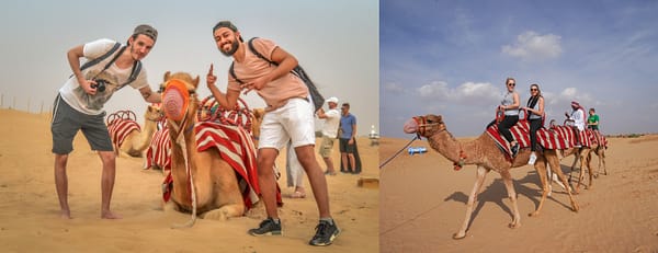 Morning Desert Safari Dubai with Dune Bashing, Sand Boarding & Camel Ride - Desert safaris - Image 3