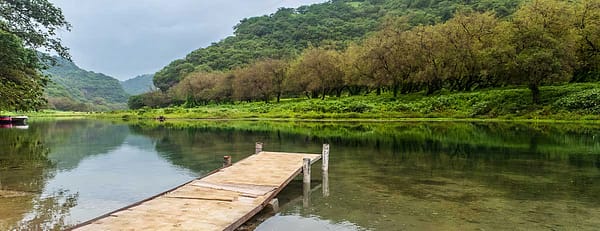 Salalah: Full-Day Beach Escapade Hidden Beach & Rakyut Beach - Recently Added Experiences - Image 3