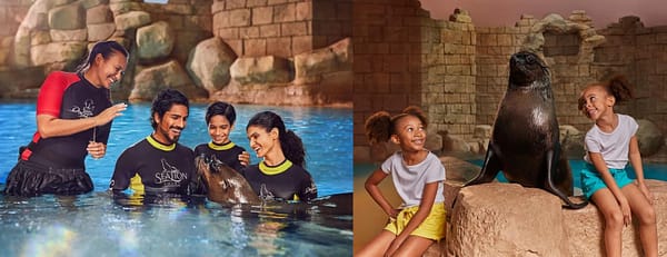 Sea Lion Experiences at Atlantis The Palm - Water Parks - Image 3