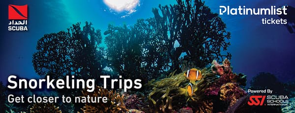 Snorkeling Daily Trips in Jeddah - Attractions Special Offers - Image 3