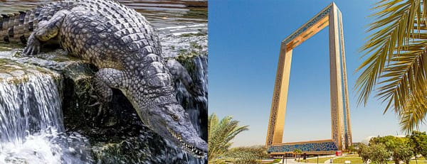 Crocodile Park Special Offer Combos - Upto 30% OFF - Attractions Special Offers - Image 3