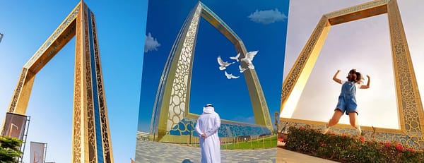 Dubai Frame + Dolphin & Seal Show - Dubai Dolphinarium - Combo - Must-see attractions - Image 3