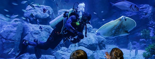 Marassi Aquarium & Underwater Zoo Tickets - Top-Rated Attractions - Image 3