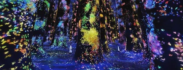 TeamLab Phenomena + Qasr Al Watan - Combo - Recently Added Experiences - Image 3