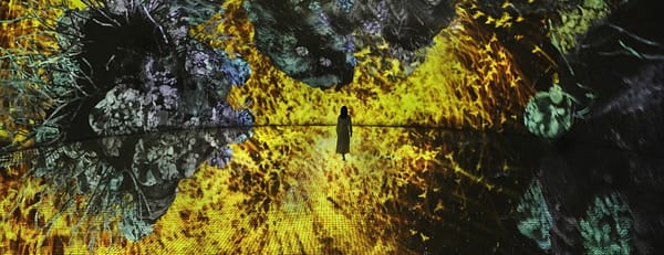 TeamLab Phenomena + Yas Waterworld - Combo - Recently Added Experiences - Image 3