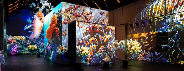 Fabrique des Lumières: The Sea - Recently Added Experiences - Image 3
