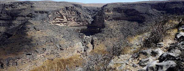 Salalah: Private Full-Day Jebel Safari Tour East - Recently Added Experiences - Image 3