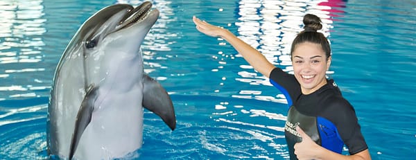 Swimming With Dolphins - Dubai Dolphinarium - Dubai Dolphinarium - Image 3