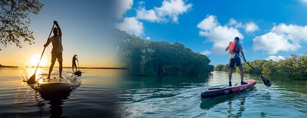Mangroves paddleboarding at Purple Island - Qool Qatar - Must-see attractions - Image 3