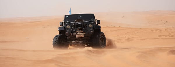 Storm adventure - Safari trip - Top-Rated Attractions - Image 3