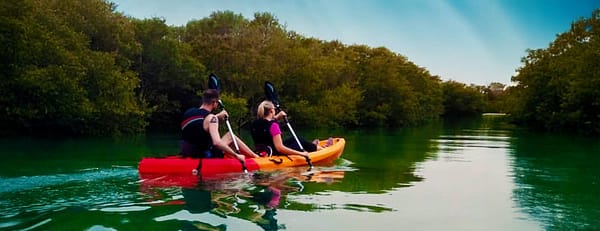 Mangroves Kayaking at Purple Island - Qool Qatar - Must-see attractions - Image 3
