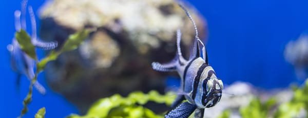 SEA LIFE Manchester Entry Ticket - Top-Rated Attractions - Image 3