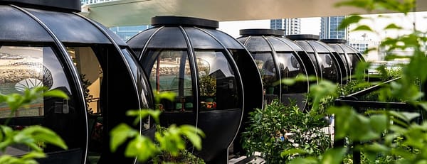 The Pods 4-Course Set Menu - Brunches - Image 3