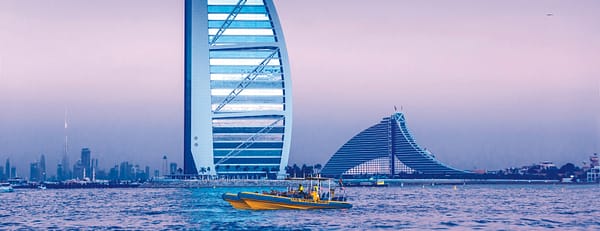 99 Minutes Premium Boat Tour + Free Dolphin & Seal Show - Combo - Combos and more adventures - Image 3