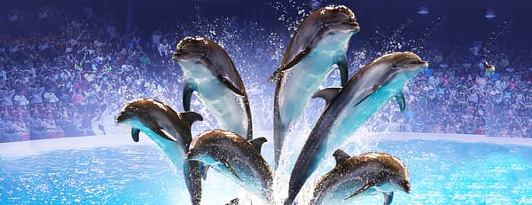 Dolphin & Seal Show - Dubai Dolphinarium - Must-see attractions - Image 3