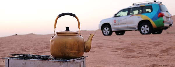 Sunrise and Wildlife Experience in the Desert - Desert safaris - Image 3