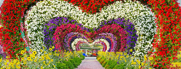 Dubai Miracle Garden - Gardens & parks - Image 3