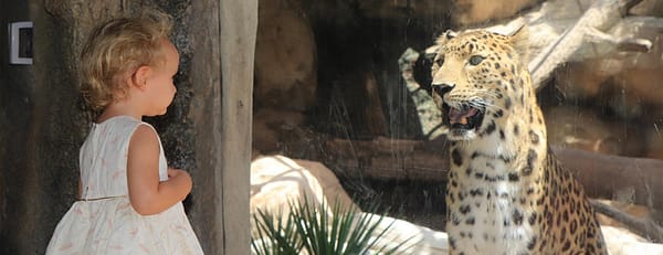 Emirates Park Zoo - Experiences - Image 3