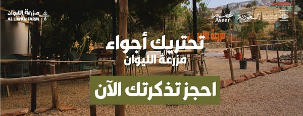 Liwan Farm in Abha - Arabic Events - Image 3