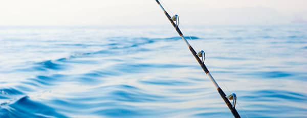Private fishing boat tour - Sightseeing and Tours - Image 3