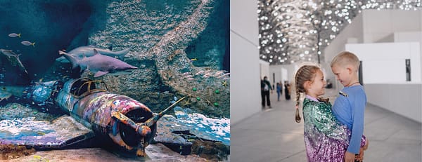 The National Aquarium + Louvre Abu Dhabi - Combo - Combos and more adventures - Image 3