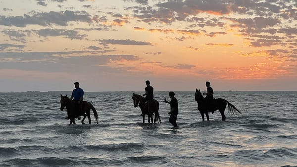 Horse Riding in Jeddah - Experiences - Image 2