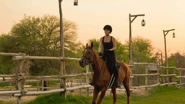 Horse Riding with Open Buffet Dinner & Shows - Desert safaris - Image 2