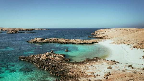 Private group tour of Daymaniyat Islands - Sightseeing and Tours - Image 2