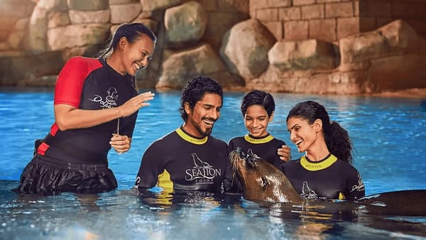 Sea Lion Experiences at Atlantis The Palm - Water Parks - Image 2