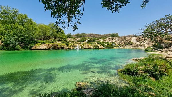Eid: Explore Salalah - Sightseeing and Tours - Image 2