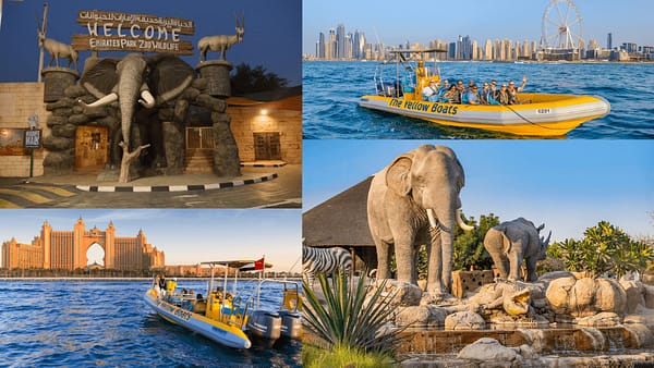 99 Minutes Premium Boat Tour + FREE Emirates Park Zoo - Combo - Attractions Special Offers - Image 2