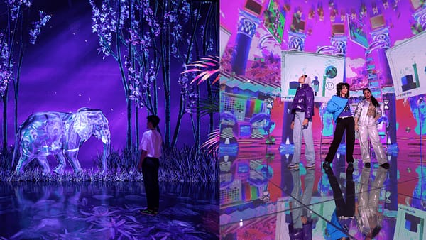 ARTE Museum + House Of Hype - Combo - Combos and more adventures - Image 2