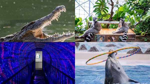 Crocodile Park Special Offer Combos - Upto 30% OFF - Attractions Special Offers - Image 2