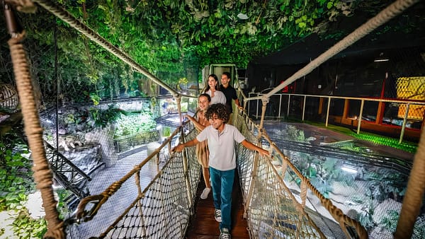 Dubai Aquarium & Underwater Zoo - Penguin Cove & Nursery Experience - Experiences - Image 2