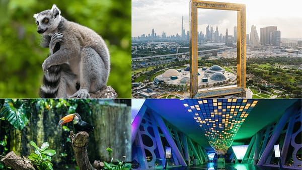 Dubai Frame + The Green Planet Dubai - Combo - Must-see attractions - Image 2