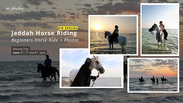 Eid Special: Horse Riding in Jeddah + Photography - Sports Events - Image 2