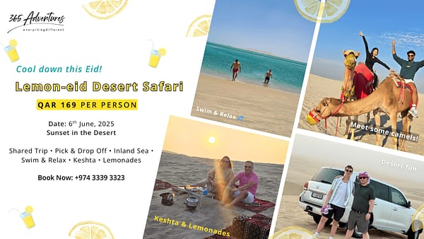 Lemon-eid Desert Safari - Desert safaris - Image 2