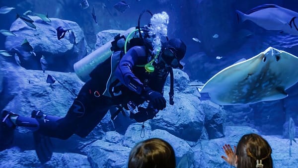 Marassi Aquarium & Underwater Zoo Tickets - Top-Rated Attractions - Image 2