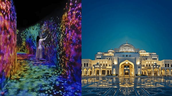TeamLab Phenomena + Qasr Al Watan - Combo - Recently Added Experiences - Image 2